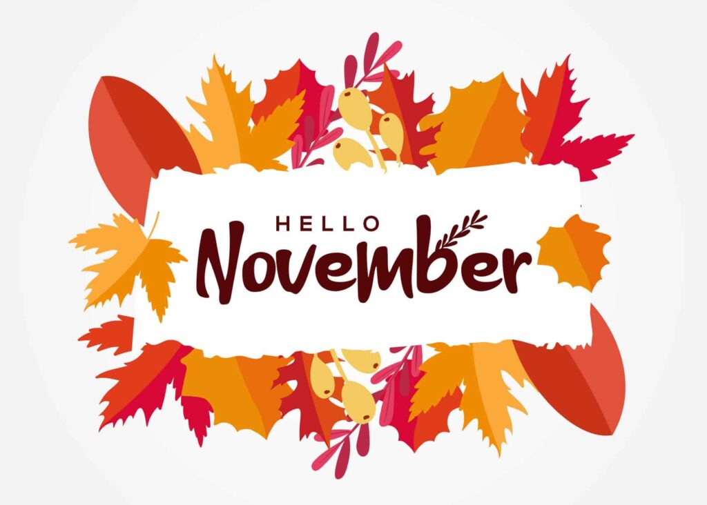 Hello November Vector Design Illustration For Banner and Backgro