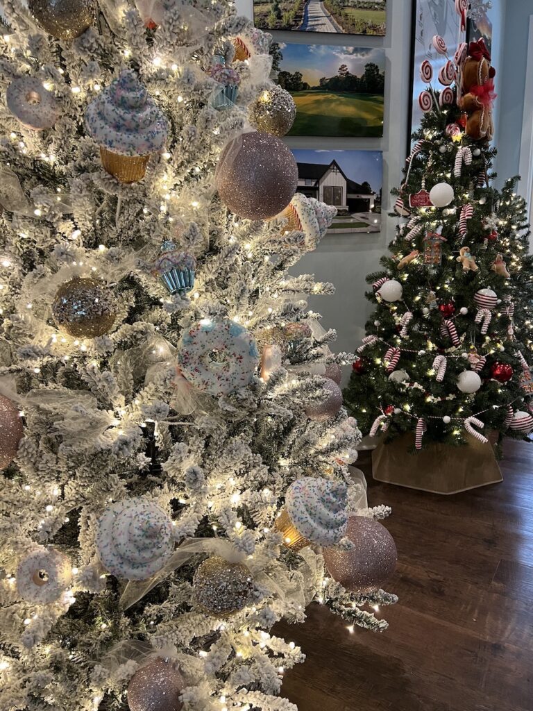 Tour of Trees 2025 copy