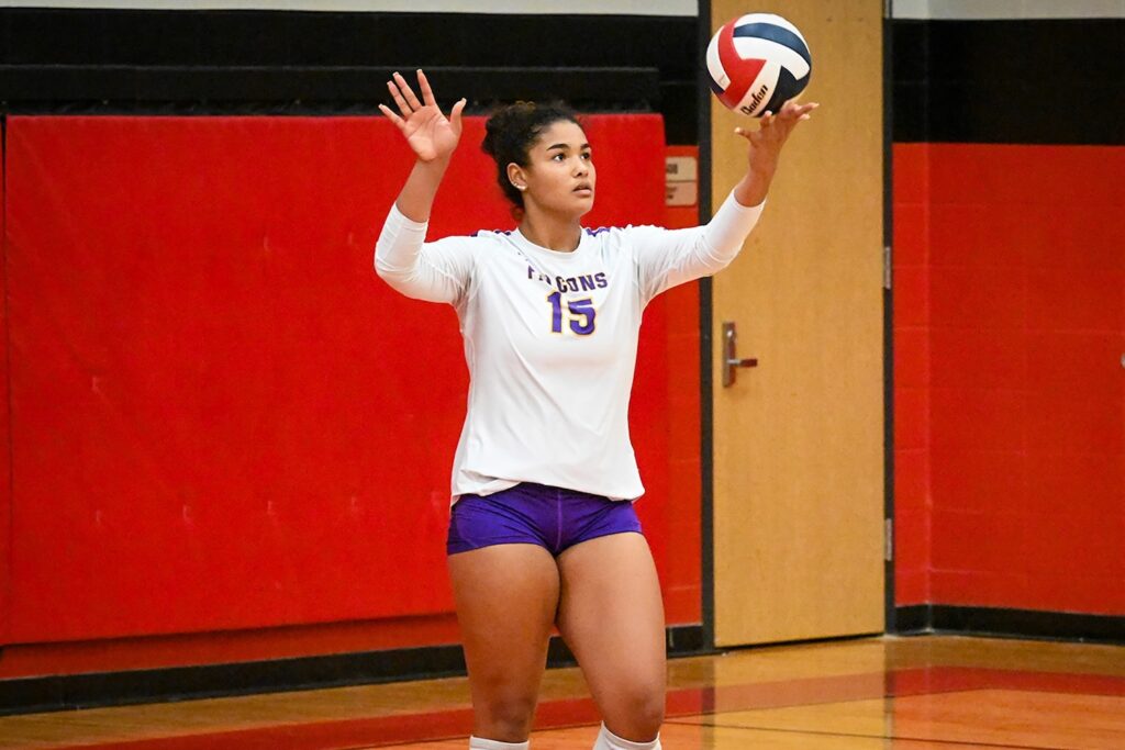 1203 All-District 17-6A Volleyball 1